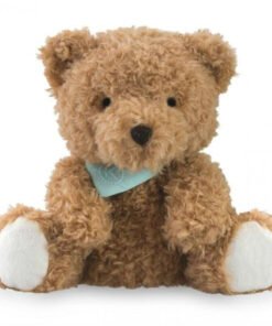Miś Miodowy w pudełku, 19cm