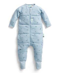 ergoPouch Śpiworek z nogawkami 12-24M 2.5TOG Dragonflies