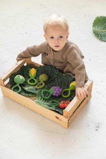 Oli & Carol Gryzak Grzechotka Winogrono - obrazek 5